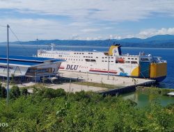 Balikpapan – Donggala Bak Terhubung Jembatan Laut